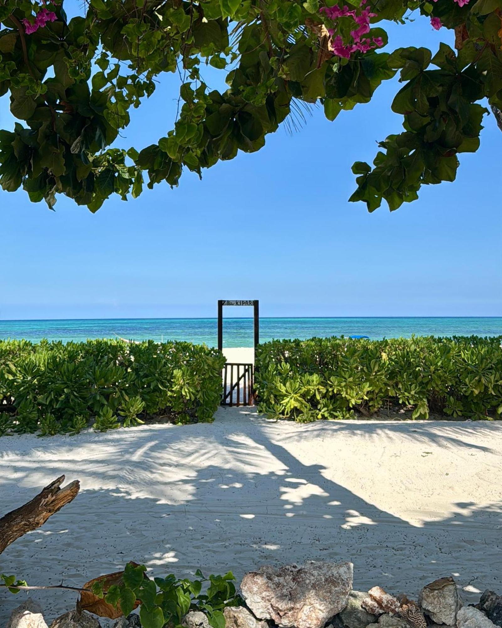 Villa Kipara - Private Beach & Pool Pwani Mchangani Kültér fotó